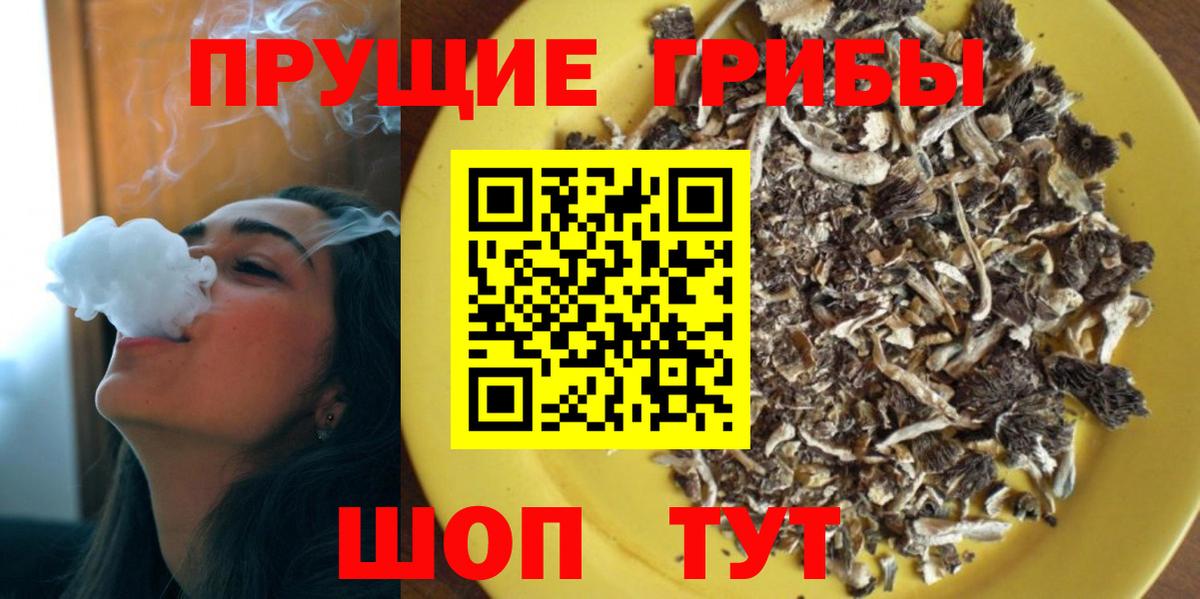 Свободный  Псилоцибиновые грибы мухоморы  сколько стоит  Вход с VPN 